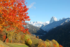 Colori stagionali che evocano atmosfere estive e invernali a Ortisei